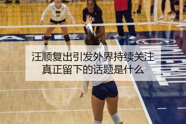 汪顺复出引发外界持续关注 真正留下的话题是什么